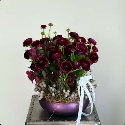 Deep burgundy ranunculus arrangement in a purple bowl with a white ribbon