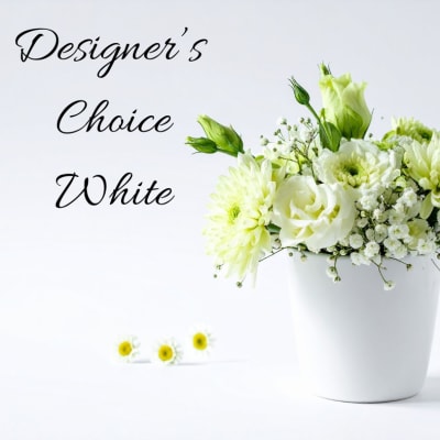 Designer Choice White