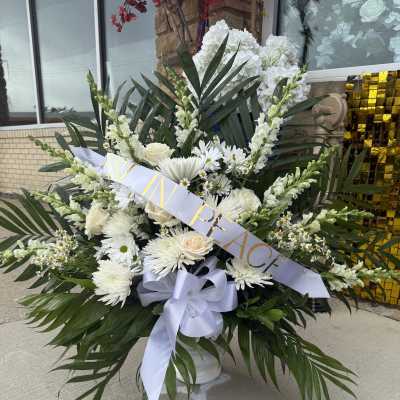 Majestic Palm Floor Spray