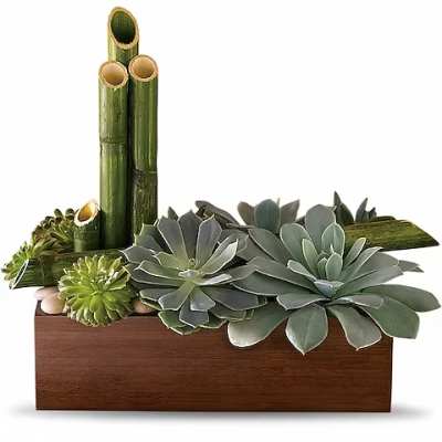 Succulent arrangement in a wooden box with bamboo tubes