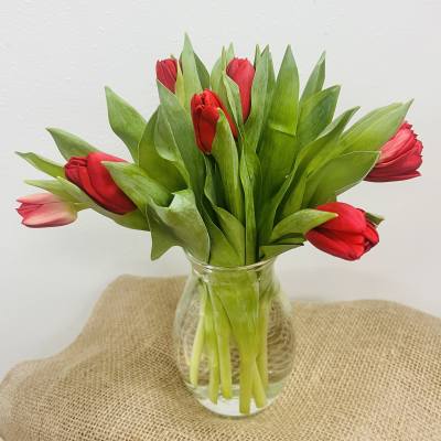 Tulip Vase