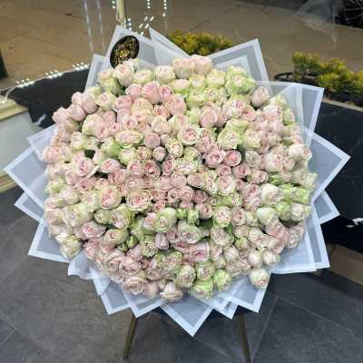 Large bouquet of pale pink and green roses wrapped in white paper