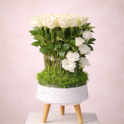 White roses arranged in a small white planter on a stand