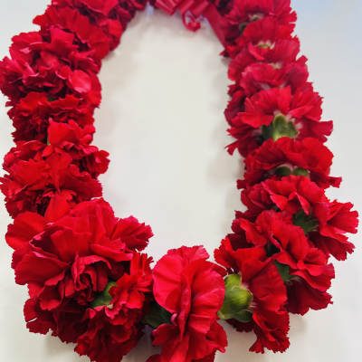 Red carnation lei with a pink ribbon bow