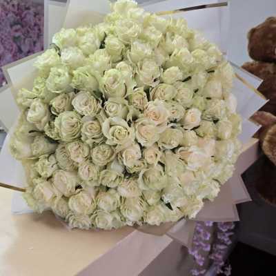 Large bouquet of cream white roses wrapped in white paper