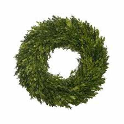 Green foliage wreath on a white background
