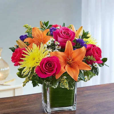 Healing Tears™ Multicolor Bright