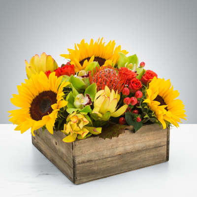 Low wooden box filled with yellow sunflowers, red roses, green orchids and orange protea