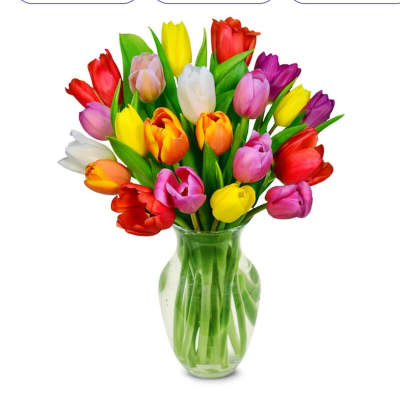 Colorful tulip bouquet in a clear glass vase
