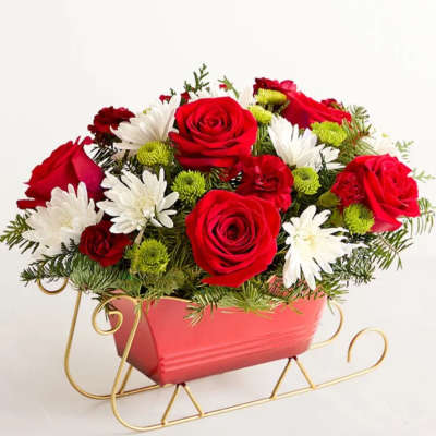 Red roses and white daisies in a pink sleigh planter