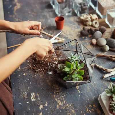 March 18, 2025 - Terrarium Workshop: Create Your Own Miniature Garden