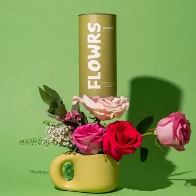 FLOWRS TEA: Jasmine Green