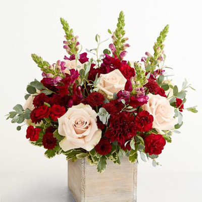 Red and cream roses with burgundy blooms in a wooden box