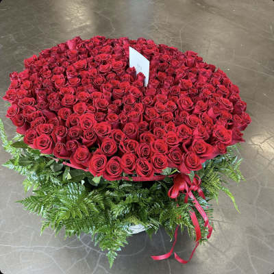 Large round arrangement of red roses with fern greenery and a red ribbon