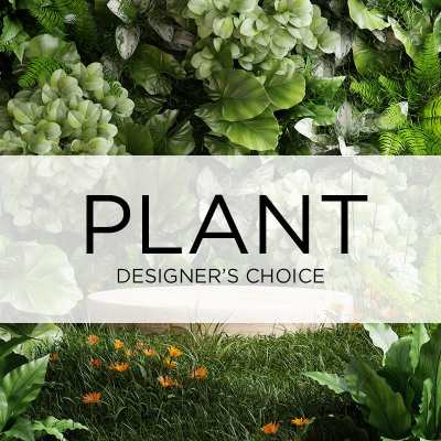 Plant designer's choice graphic with assorted green foliage and orange flowers
