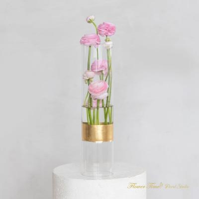 Pink ranunculus stems in a tall clear glass vase with a gold band