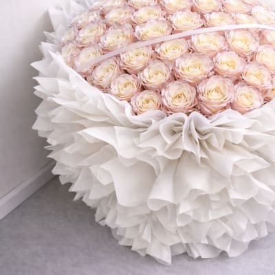 Large bouquet of pale pink and cream roses wrapped in white paper