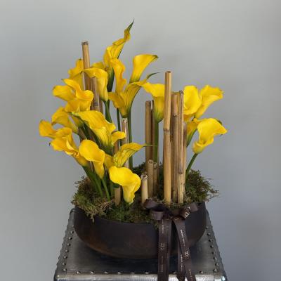 Yellow calla lilies arranged in a low black bowl with bamboo accents