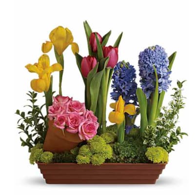 Mixed bouquet with pink roses, tulips, irises, and hyacinths in a rectangular planter