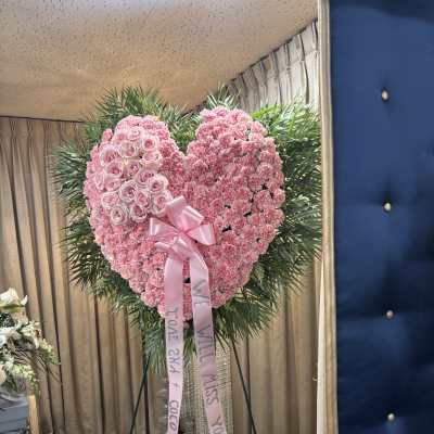 P:ink Bleeding Heart