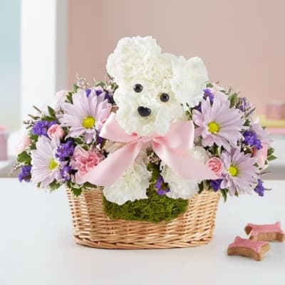 It’s a-DOG-able Boy or Girl