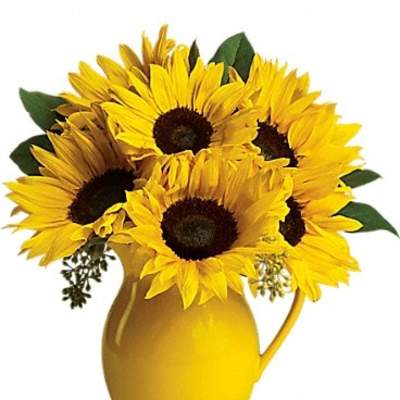 Yellow sunflowers arranged in a yellow pitcher vase