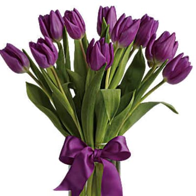 Purple tulips in a clear glass vase tied with a purple ribbon