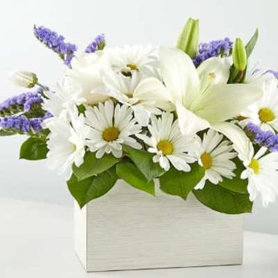 White lilies and daisies in a white box with purple accents