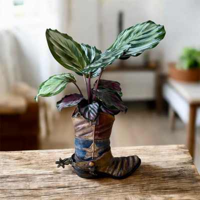 Potted plant in a decorative cowboy boot container