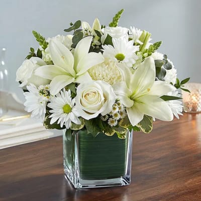 Healing Tears All White