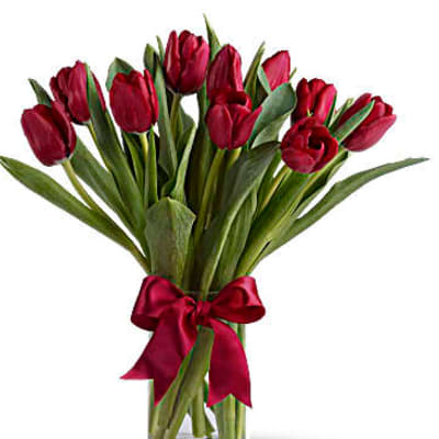 Red tulips in a clear glass vase with a red ribbon