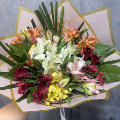 Mixed bouquet of alstroemeria in pink, white, yellow, and red