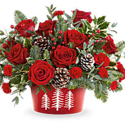 Red roses in a red holiday container with pinecones and evergreen accents