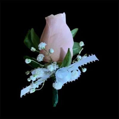 Single pale pink rose boutonniere with white baby's breath and ribbon