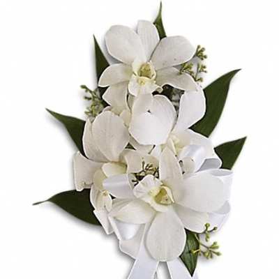 White orchid bouquet with ribbon and dark green leaves