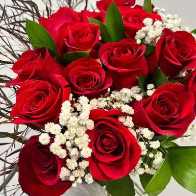 Bouquet of red roses with white baby's breath and green leaves