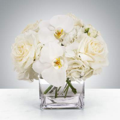 Compact white rose, orchid, and hydrangea arrangement in a clear square glass vase