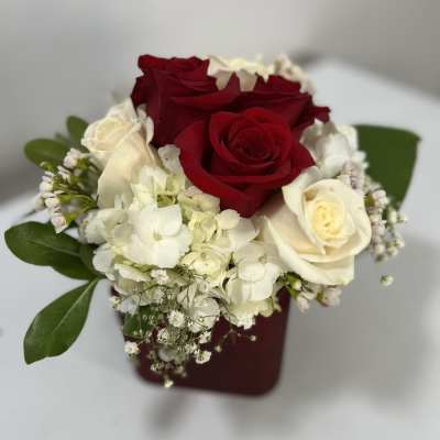 Red and white roses in a burgundy box with white filler flowers