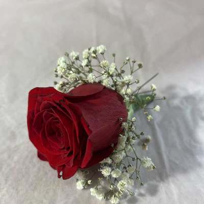 Single red rose with small white filler flowers