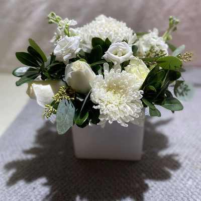White floral arrangement in a square white vase with dark green foliage