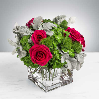 Compact arrangement of hot pink roses with green and silvery foliage in a clear glass cube vase