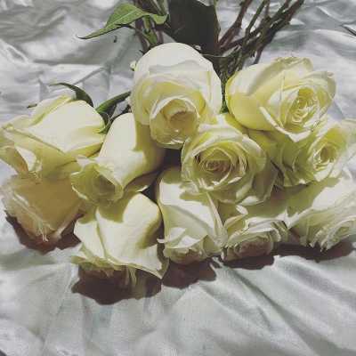 Designer Choice Or By The Dozen