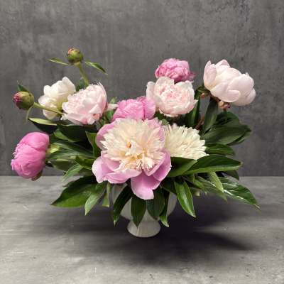 Pink and white peonies arranged in a white vase