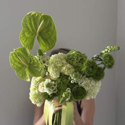 Bouquet of green anthuriums and hydrangeas with ribbon