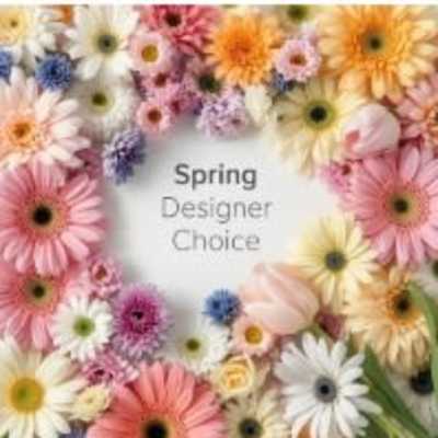 Pastel daisies, gerbera daisies, mums, tulips, and roses framing text that reads Spring Designer Choice