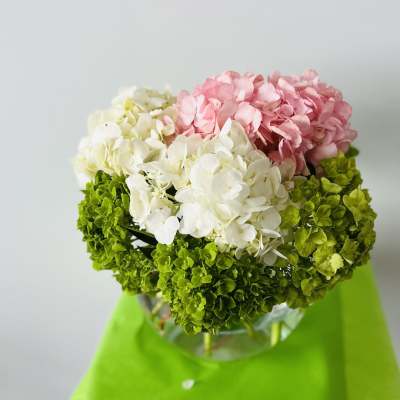 Pink, white, and green hydrangea bouquet in a clear vase