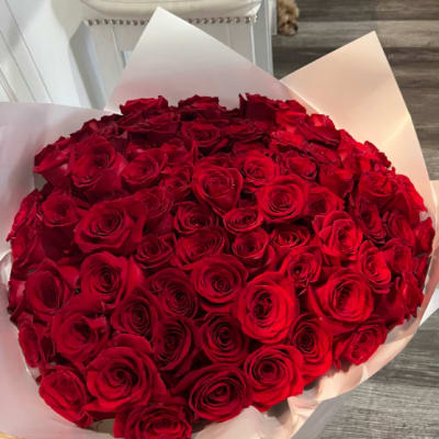 100 Red Roset