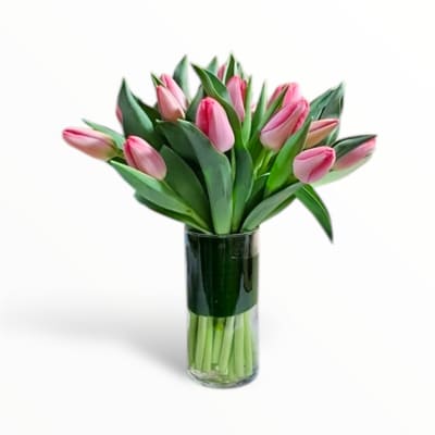 Pink tulips arranged in a clear glass vase