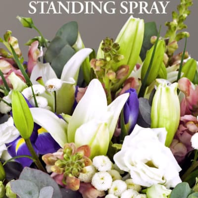 Standing Spray- Designer's Choice