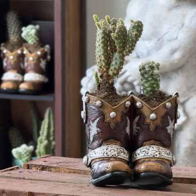 two steppin' succulents